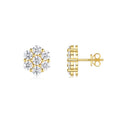 Neve Moissanite Snowflake Stud Earrings in Gold-Tone Sterling Silver